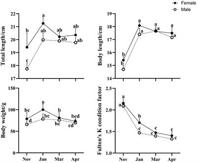 Exploring the sex dimorphism in the expression of intestinal barrier and immune-related genes and intestinal microbiota in cage-cultured large yellow croaker (Larimichthys crocea) during the overwintering period along the Zhoushan coast